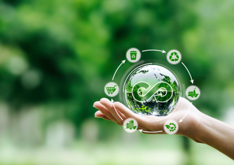 Economia Circolare: Il Ruolo di Extraconomy nel Favorire un Circolo Economico Sostenibile